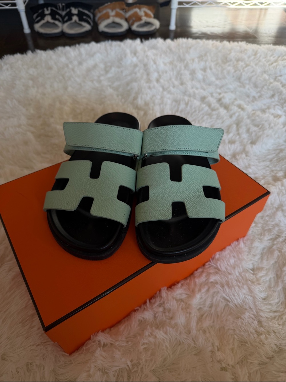 Hermes mint green chypre sandals